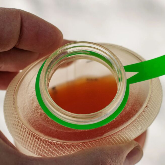 Collapsible Flask HydriamX 42 mm (BeeFree) | CNOC - Image 4