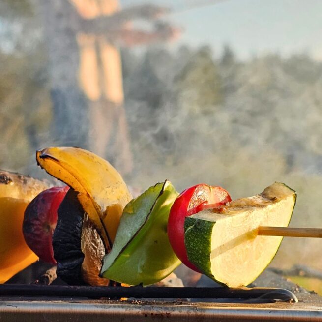 Grilliritilä kamiinan päälle Fastfold Grill Panel | Bushmen - Image 5