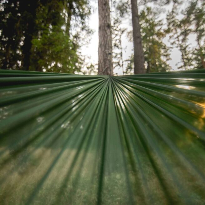 Ultralight-riippumatto SUL MONOFIL 300 cm Lesovik | Mavaja.fi - Image 5